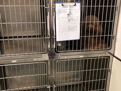 -爱诺耐芙动物医院(万博店)