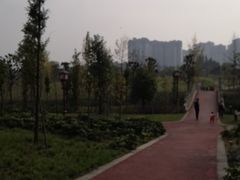 -眉山湿地公园(东坡区)