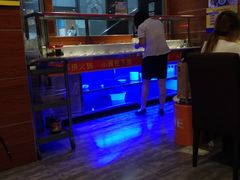 -龙凤禧毛肚火锅(阳光舜城店)