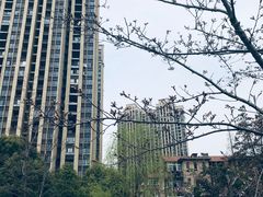 -堤角公园