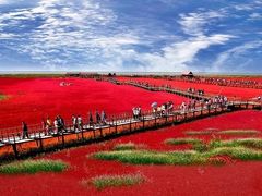-红海滩国家风景廊道