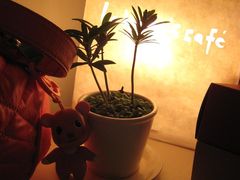 -Babycat私家御饼屋(龙头路一店)