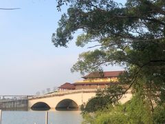 -大湾区中央湿地公园