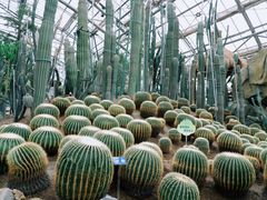 -南山植物园