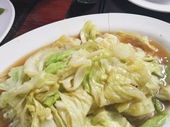 -绿光森林餐厅