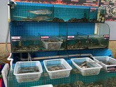 水产区-兆辉木炭海鲜烧烤·海鲜小炒