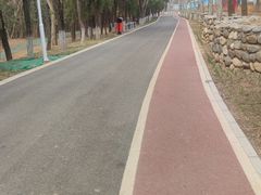 -云岗森林公园