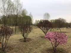 -潇河湿地公园