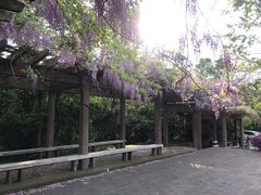 -雨花台烈士纪念馆