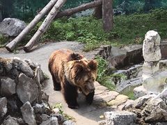 -成都动物园