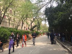 -武汉大学-樱园