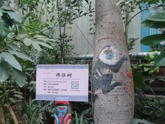 -呀路古热带植物园