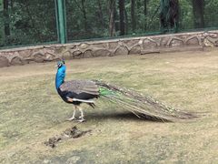 -哈尔滨北方森林动物园