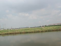 -大港湿地公园