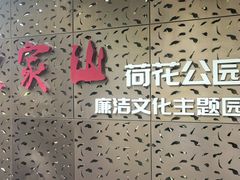 -陈家山荷花公园