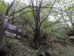 -阳台山自然风景区