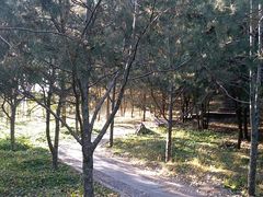 -森林公园(尖草坪区)