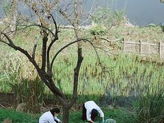 -木守西溪溪隐餐厅
