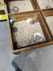 -酷嗒动物文化乐园(cutezoo西溪乐天城店)