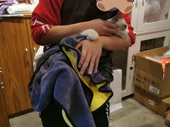 -PETKIT小佩宠物·低压洗护(国顺东路店)