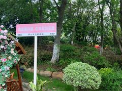 -茅山东方盐湖城景区