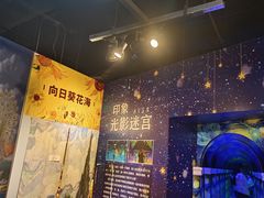 -天津梵高星空艺术馆(天河城旗舰店)