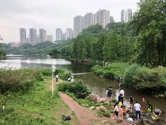 -重庆彩云湖湿地公园