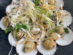 -鲁前海沿儿