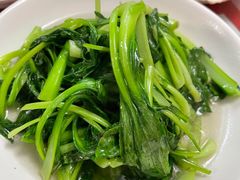 鸡毛菜-蘭心餐厅(进贤路店)