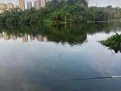 -重庆彩云湖湿地公园