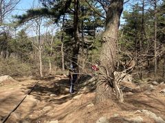 -鲁山国家森林公园