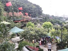 -枇杷园食为鲜火锅(南山店)
