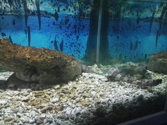 -绍兴梦享海洋公园