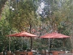 -金海湾自助餐厅(金陵饭店)