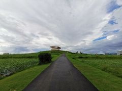 -光明小镇欢乐田园