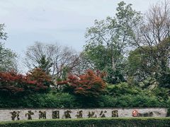 -重庆彩云湖湿地公园