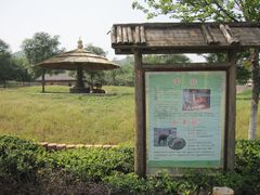 -石家庄市动物园