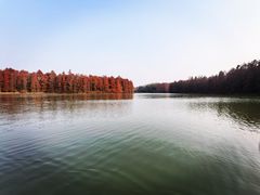 -上海海湾国家森林公园