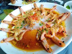 蒜蓉蒸大明虾-秦园酒楼(水岸星城店)