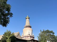 -张掖大佛寺景区