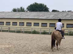 -北京群众马术培训基地