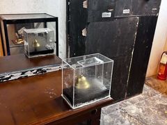 -谜盒子奇幻密室(南屏店)
