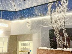 -Blue Concept Cafe&Farm·關於藍