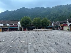 -九华山风景区