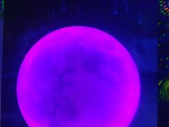 -天津梵高星空艺术馆(天河城旗舰店)