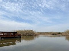 -宁波杭州湾国家湿地公园