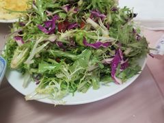 苦菊-康陵正德春饼宴26号