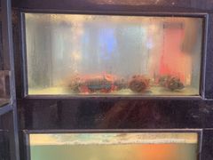 -聚鑫阁江浙菜·非遗传承技艺(青村帝华园店)
