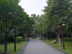 -木塔寺遗址生态公园