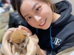 -逗柴咖啡屋·狗咖猫咖宠物桌游